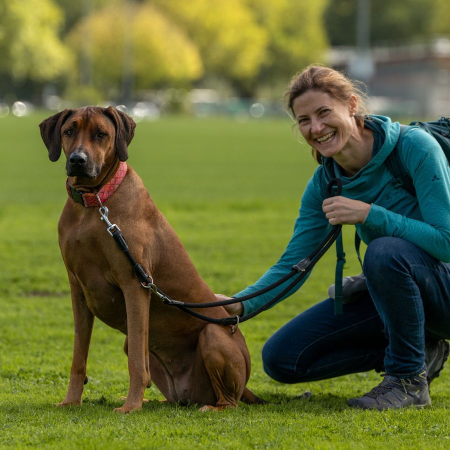 Rhodesian Ridgeback mit Halterin auf der Allmend