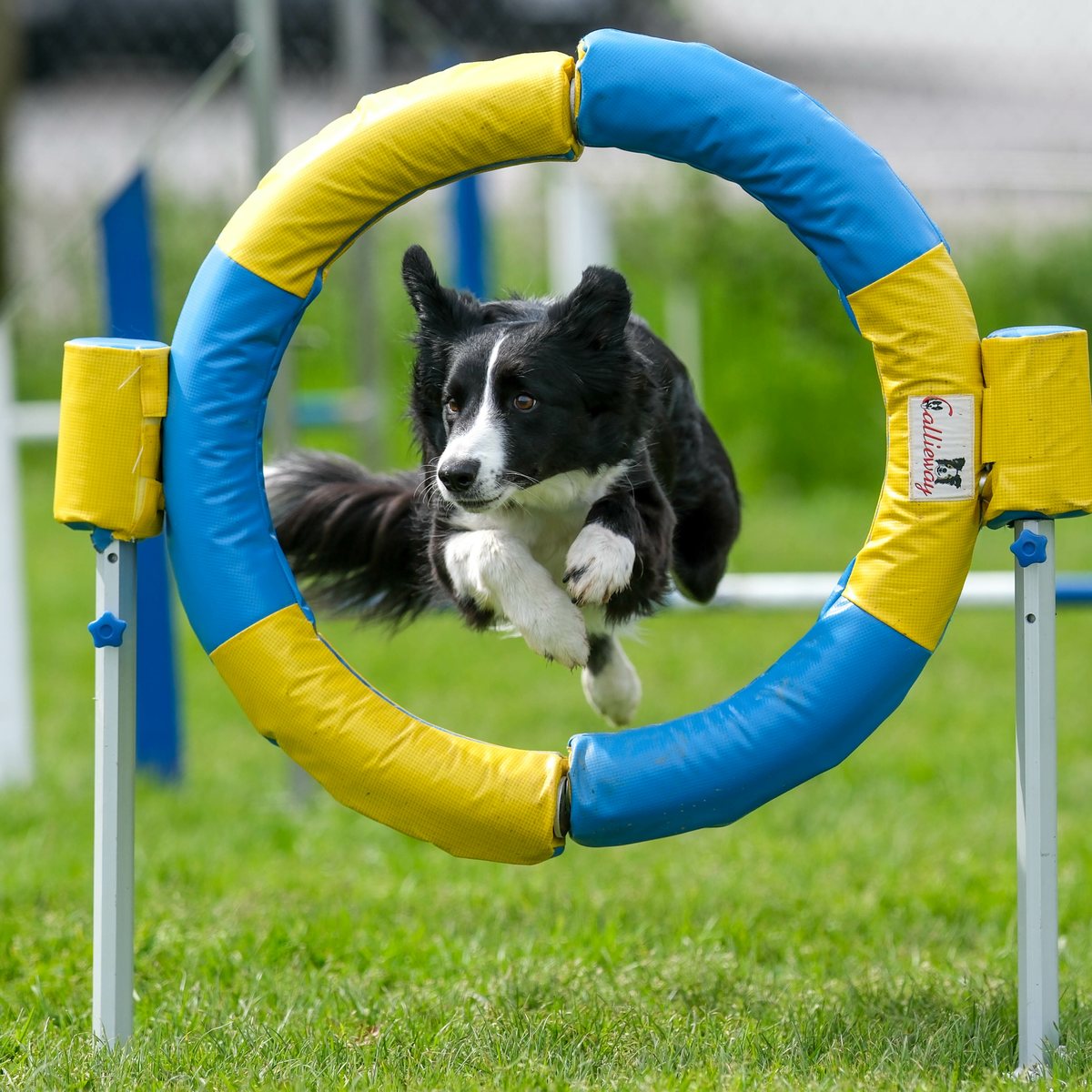 Agility