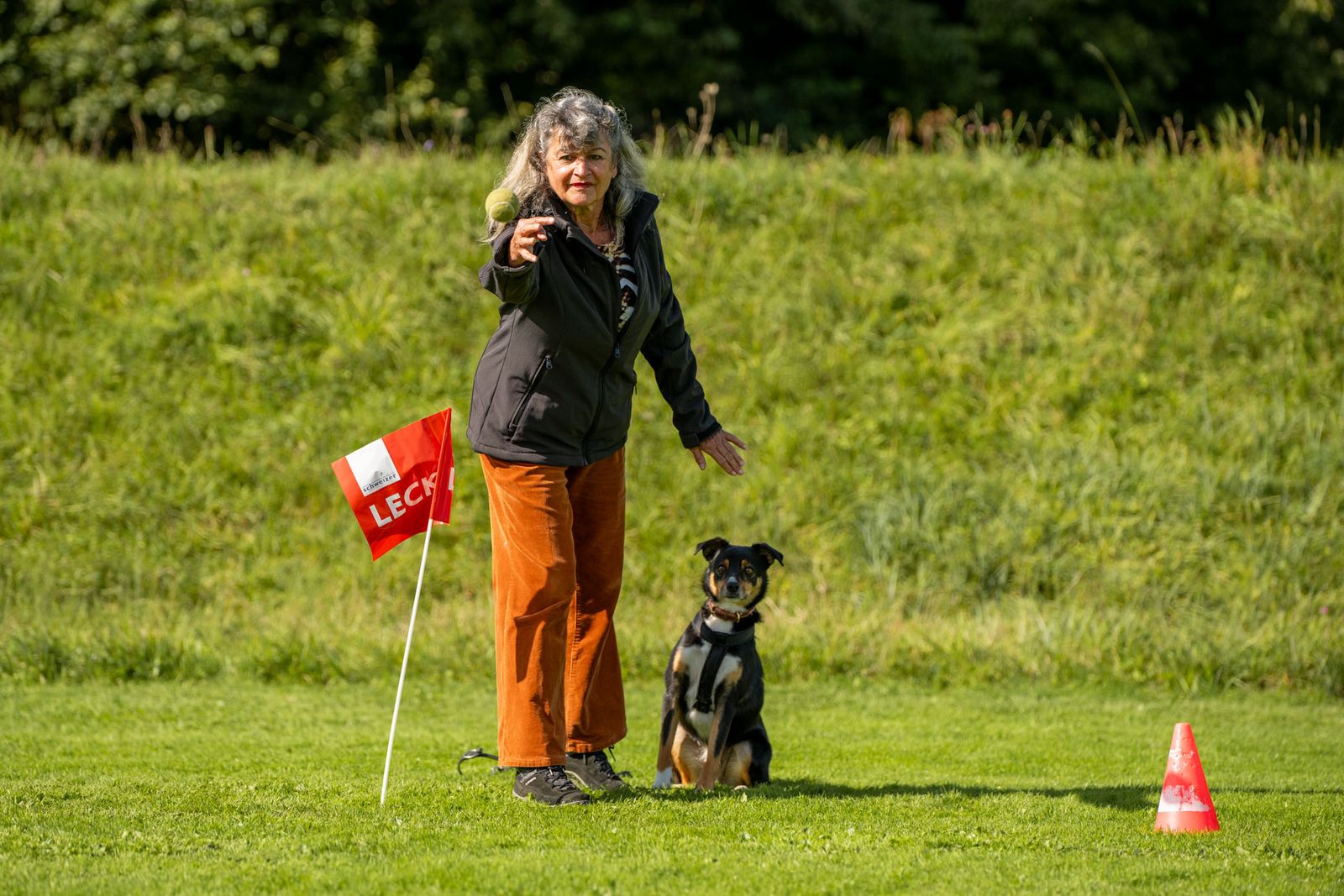 Training für die NHB-Prüfung 3