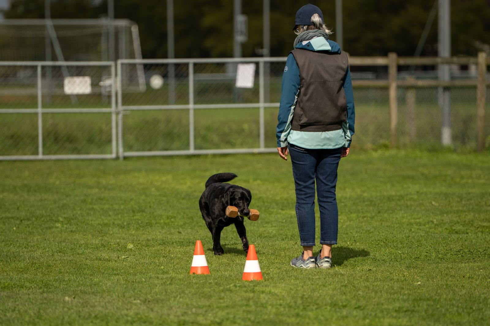 Training für die NHB-Prüfung 4