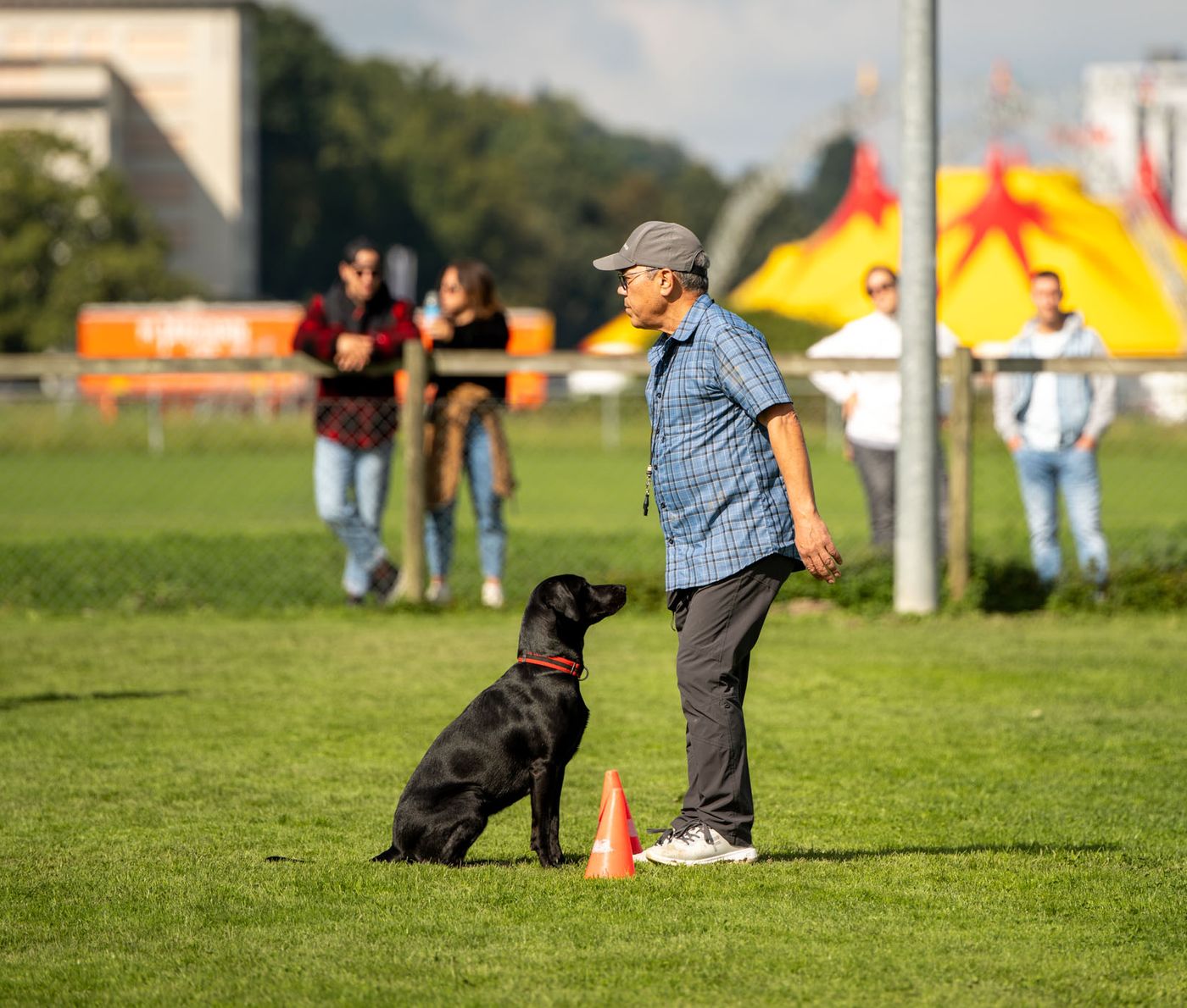 Hundeführer mit Labrador bei einer Übung auf dem Trainingsplatz