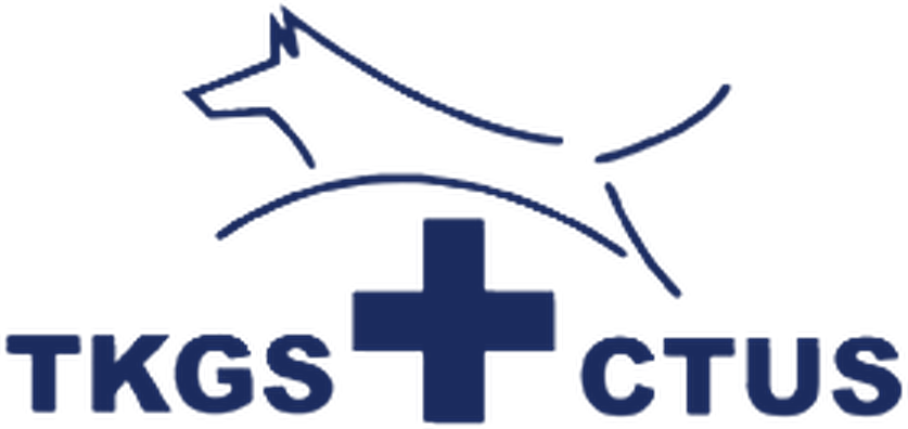 Logo TKGS