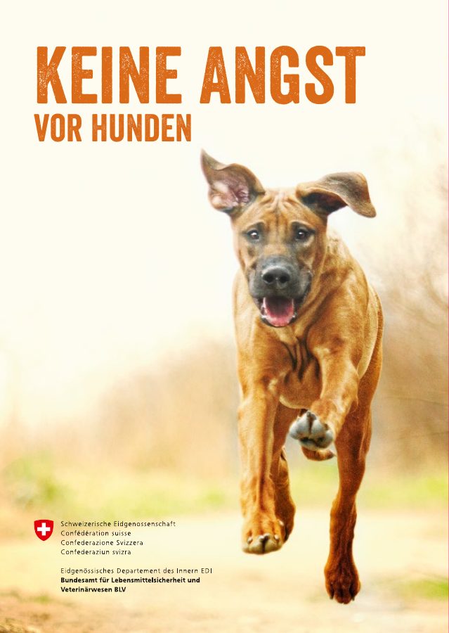 Vorschau: Keine Angst vor Hunden