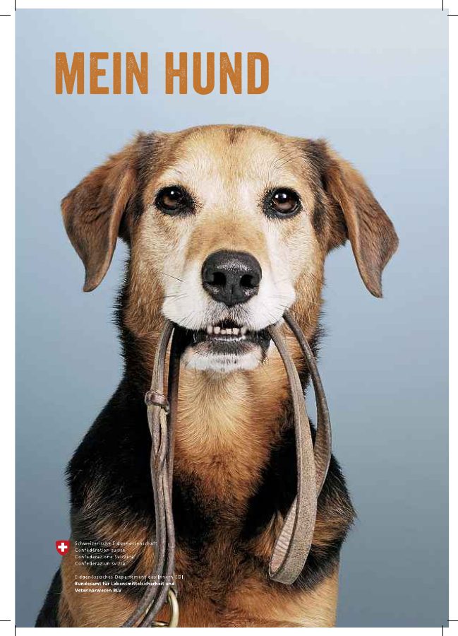 Vorschau: Mein Hund