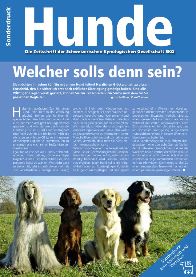 Vorschau: Welcher solls denn sein?