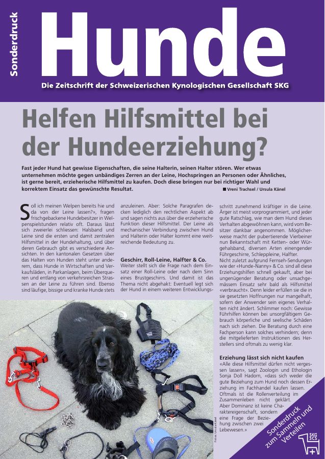 Vorschau: Helfen Hilfsmittel in der Hundeerziehung?