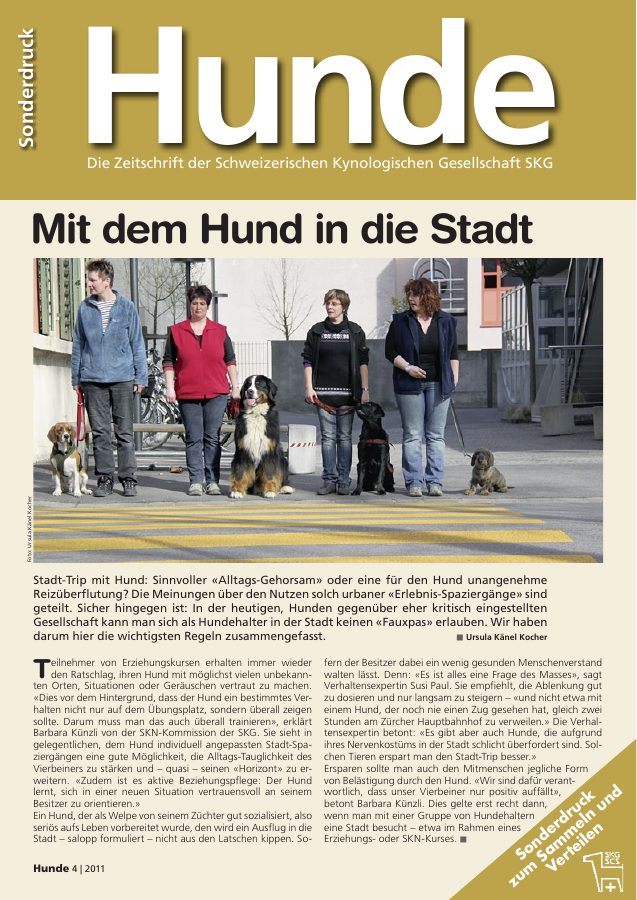 Vorschau: Mit dem Hund in die Stadt