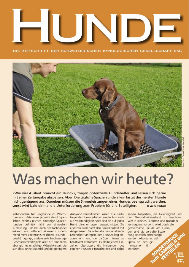 Vorschau: Was machen wir Heute?