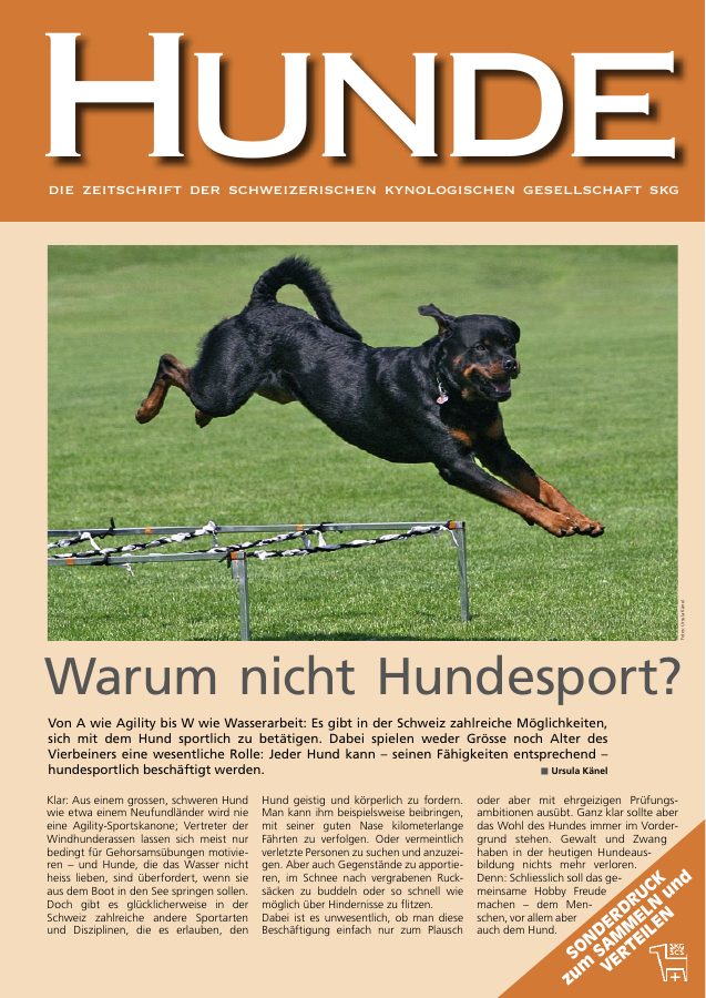 Vorschau: Warum nicht Hundesport