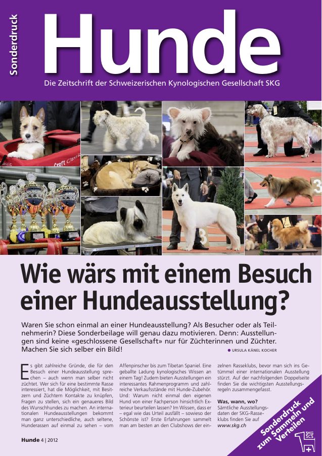 Vorschau: Besuch einer Hundeausstellung