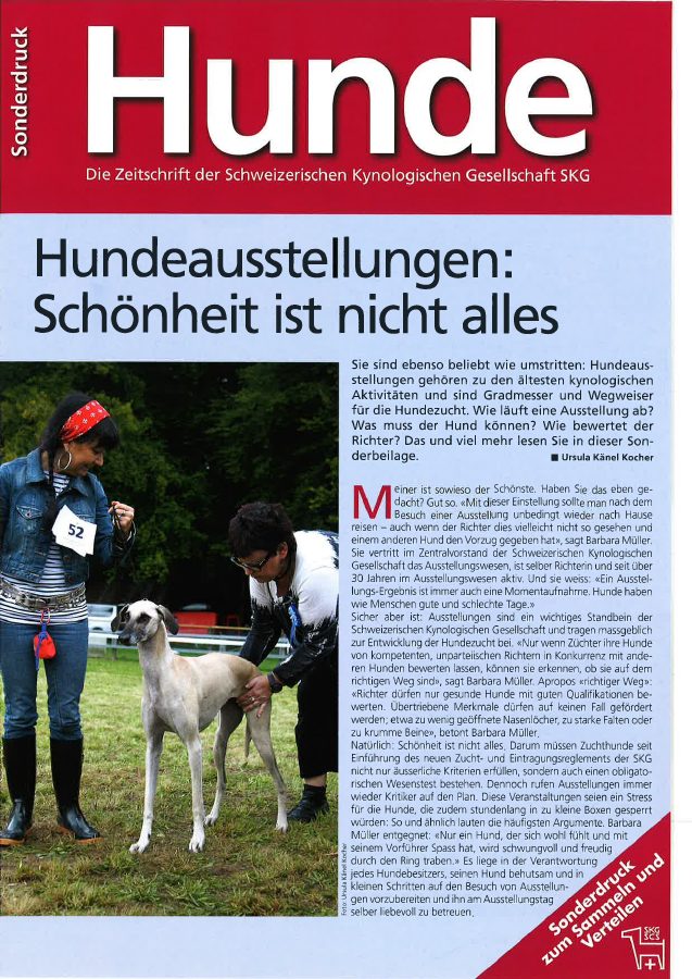 Vorschau: Hundeausstellungen