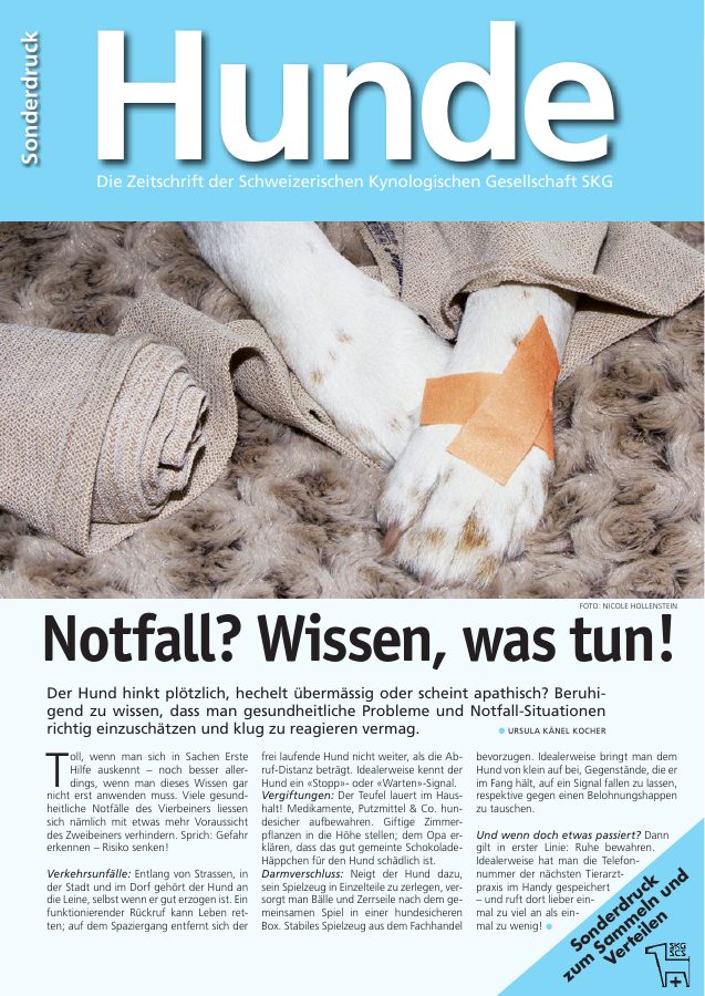 Vorschau: Erste Hilfe im Notfall