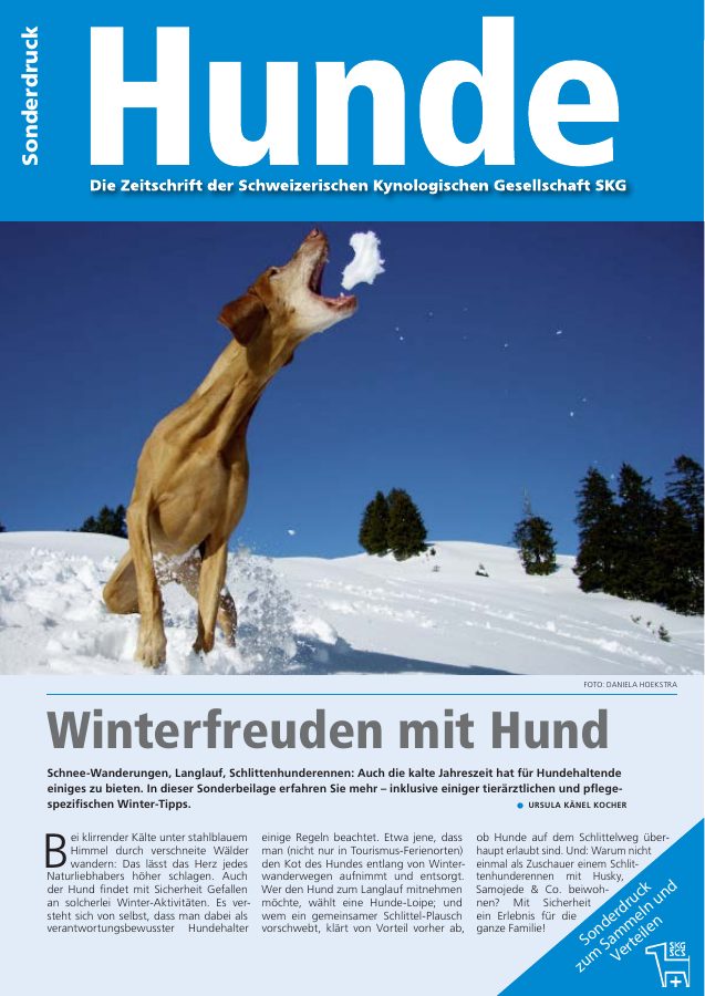 Vorschau: Winterfreuden mit dem Hund